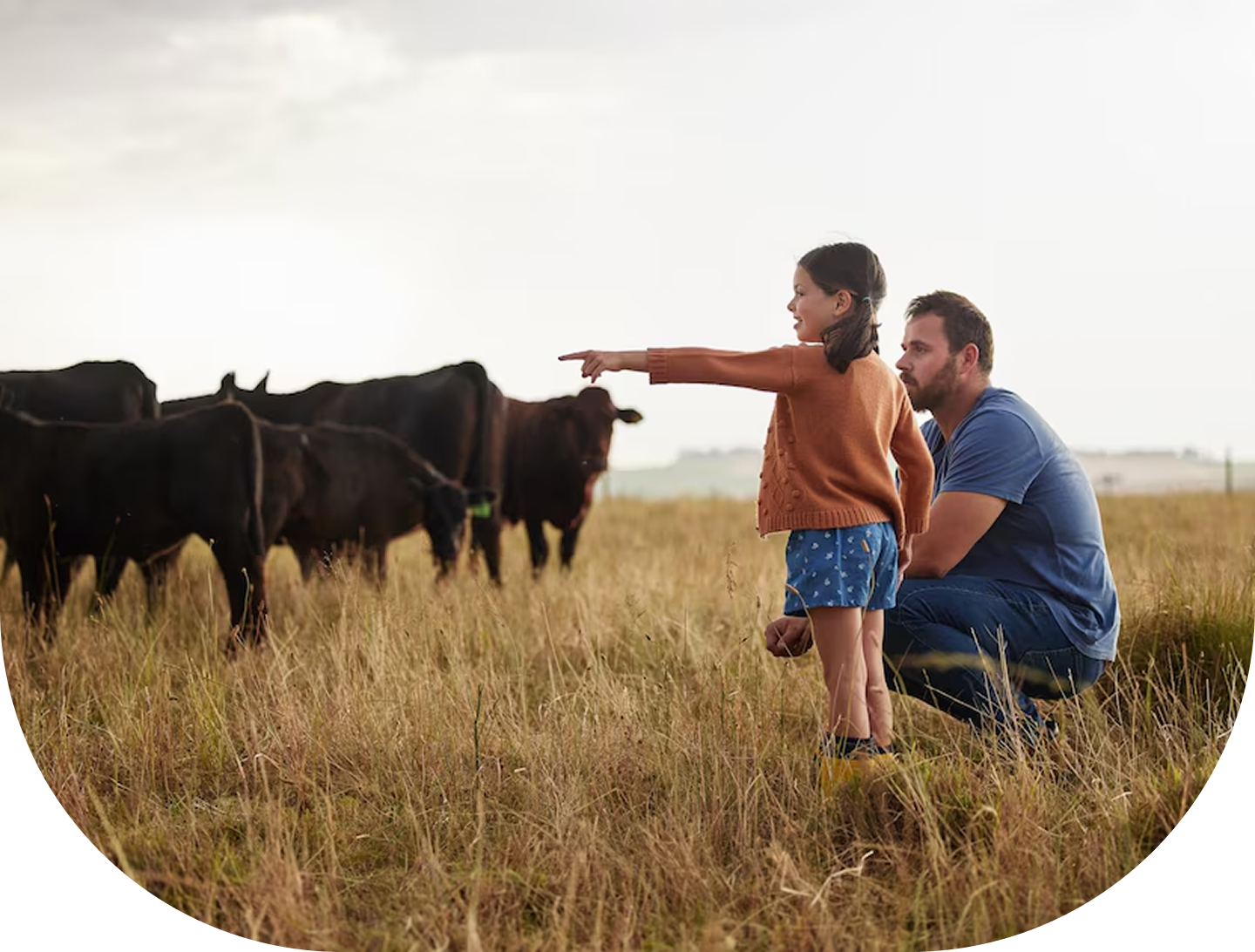 Kazazi Farm Landscape